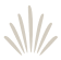Star Icon