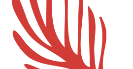 Plant Image