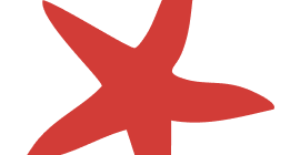 Star Image